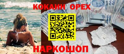 гашик Ливны