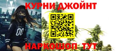 гашик Ливны