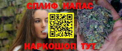 гашик Ливны