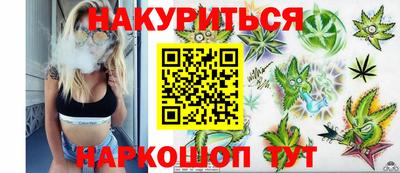 гашик Ливны
