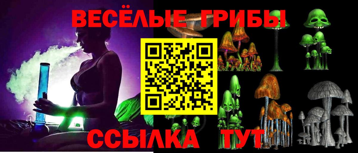 Алушта  Псилоцибиновые грибы GOLDEN TEACHER  наркота  Вход с VPN 